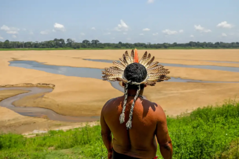 Entre a Preservação e o Lucro: Os Desafios do Brasil no Meio Ambiente
