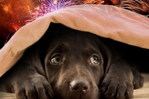 Blog do Laurinho: Festa de Fim de Ano